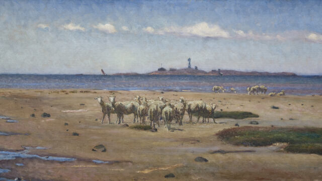 Varbergsskolan. Nils Kreuger "Västkuststrand med får" 1896