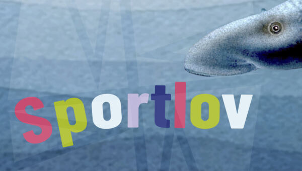 Sportlov-2025.1280x720px